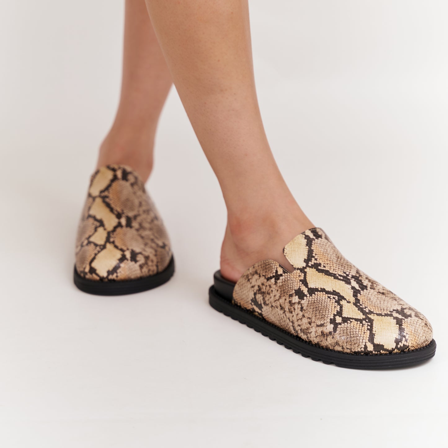 Zueco Serpenta