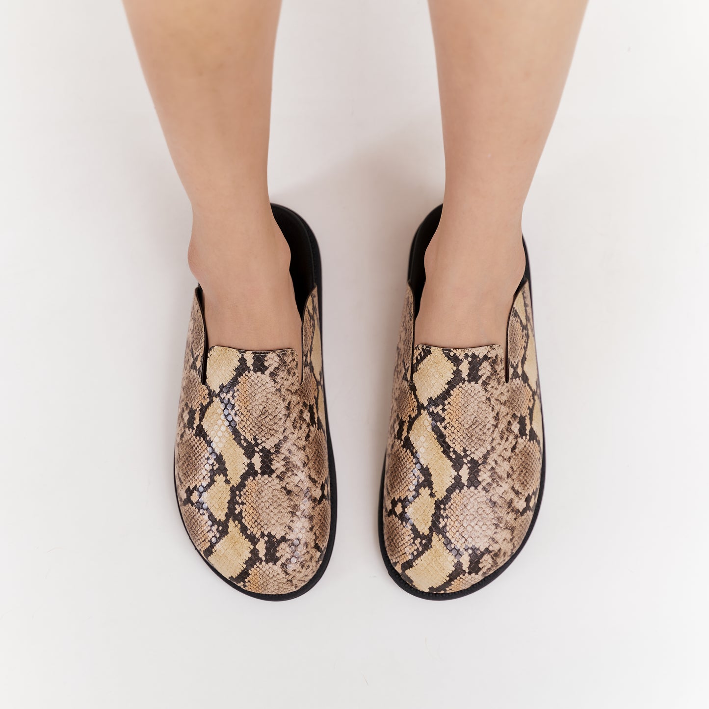 Zueco Serpenta